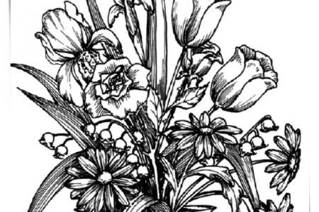 140 dibujos de flores para Colorear - Dibujo imágenes - Colorear flores bonitas a4 Colorear flores bonitas a4
