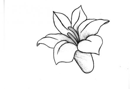140 dibujos de flores para Colorear - Dibujo imágenes - Colorear flores infantiles a4 Colorear flores infantiles a4