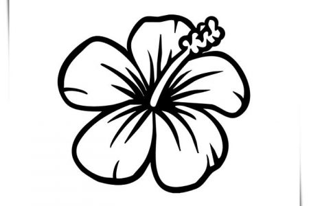 140 dibujos de flores para Colorear - Dibujo imágenes - Colorear mandalas de flores a4 Colorear mandalas de flores a4