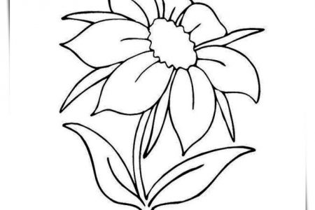 140 dibujos de flores para Colorear - Dibujo imágenes - Como colorear flores secas a4 Como colorear flores secas a4