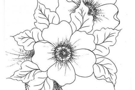 Dibujos a lapiz de flores en 3d a4