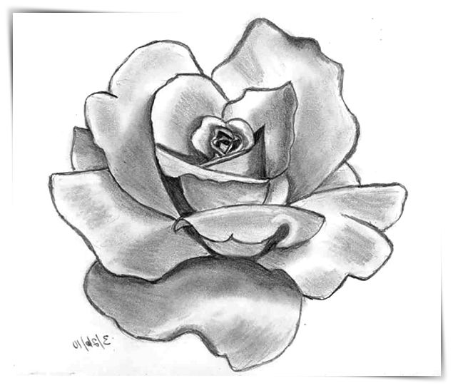 Dibujos de flores a4