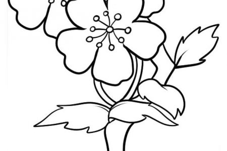 140 dibujos de flores para Colorear - Dibujo imágenes - Dibujos de flores de 4 petalos a4 Dibujos de flores de 4 petalos a4
