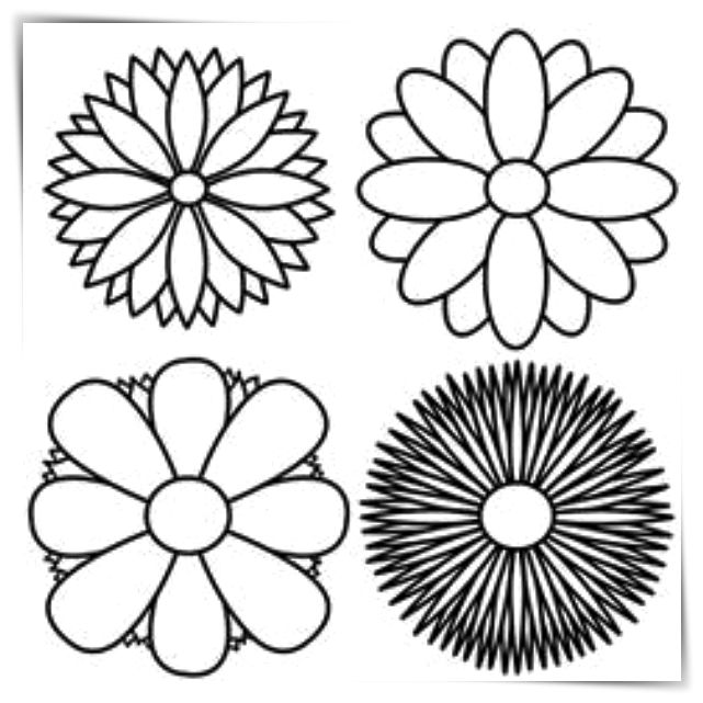 Dibujos de flores de 6 petalos a4