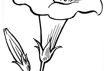 140 dibujos de flores para Colorear - Dibujo imágenes - Dibujos de flores de botellas a4 Dibujos de flores de botellas a4