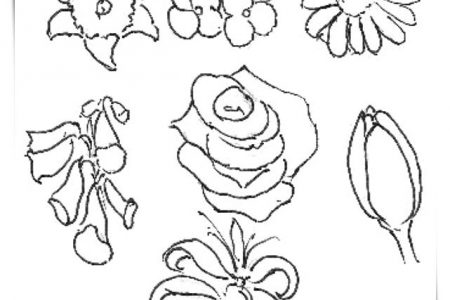 140 dibujos de flores para Colorear - Dibujo imágenes - Dibujos de flores de cerezo a4 Dibujos de flores de cerezo a4