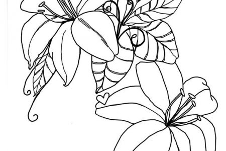 Dibujos de flores de loto para tatuar a4