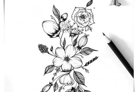 Dibujos de flores de maravilla a4