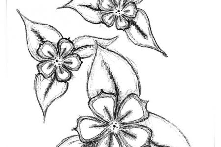 140 dibujos de flores para Colorear - Dibujo imágenes - Dibujos de flores de margaritas a4 Dibujos de flores de margaritas a4
