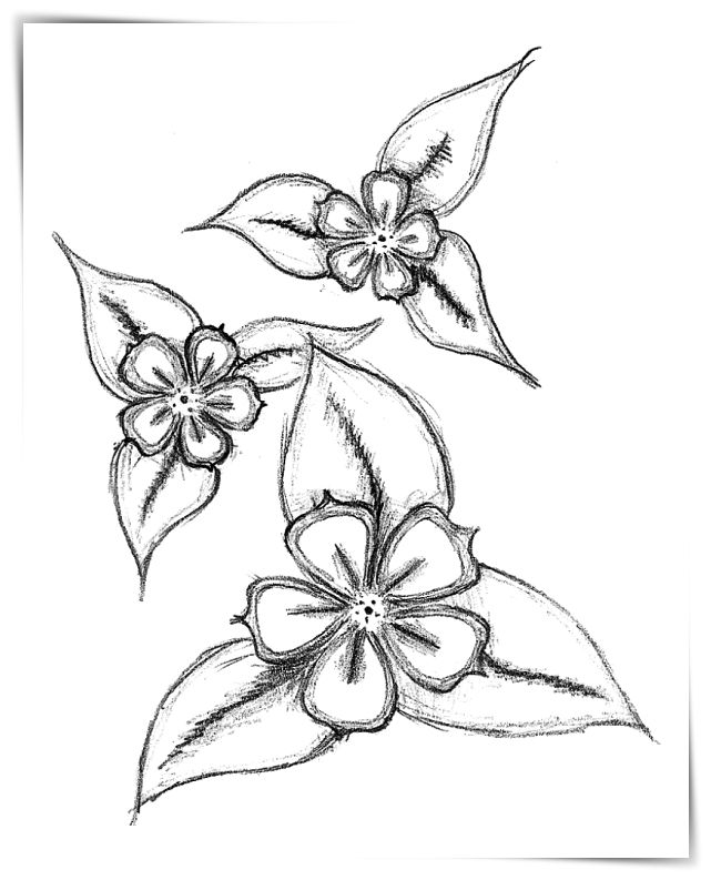 Dibujos de flores de margaritas a4