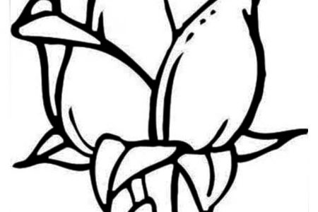 140 dibujos de flores para Colorear - Dibujo imágenes - Dibujos de flores de rosas a4 Dibujos de flores de rosas a4