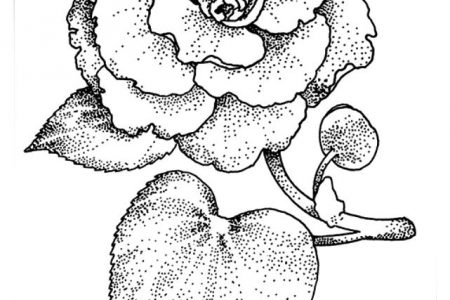 140 dibujos de flores para Colorear - Dibujo imágenes - Dibujos de flores de sakura a4 Dibujos de flores de sakura a4