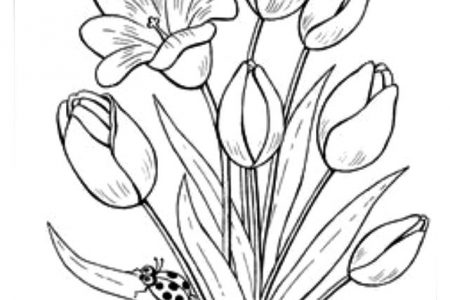 140 dibujos de flores para Colorear - Dibujo imágenes - Dibujos de flores whatsapp a4 Dibujos de flores whatsapp a4