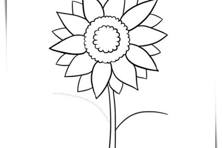 Dibujos flores a4