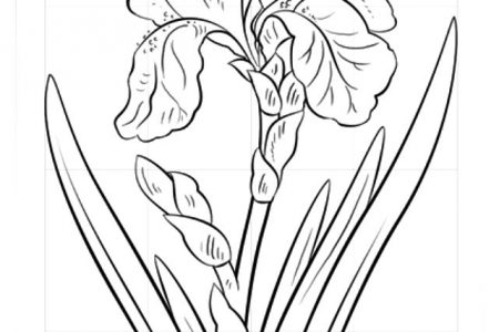 140 dibujos de flores para Colorear - Dibujo imágenes - Dibujos flores blanco y negro a4 Dibujos flores blanco y negro a4