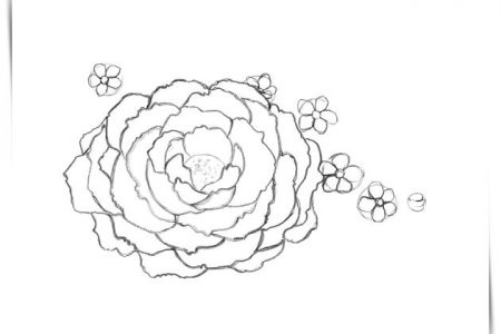 140 dibujos de flores para Colorear - Dibujo imágenes - Dibujos flores de loto a4 Dibujos flores de loto a4