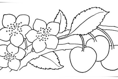 Dibujos flores de pascua a4