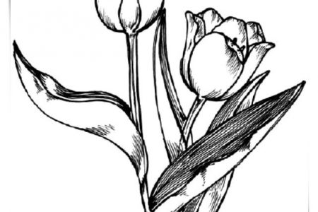 140 dibujos de flores para Colorear - Dibujo imágenes - Dibujos flores en foamy a4 Dibujos flores en foamy a4