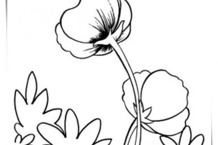 140 dibujos de flores para Colorear - Dibujo imágenes - Dibujos flores en pared a4 Dibujos flores en pared a4