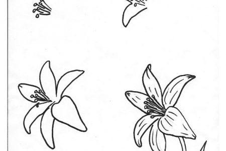 Dibujos flores hawaianas para colorear a4