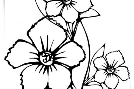 Dibujos flores hawaianas para pintar a4