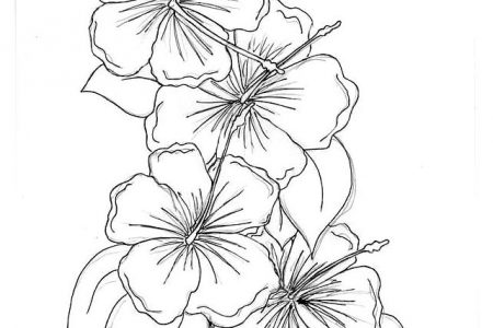 140 dibujos de flores para Colorear - Dibujo imágenes - Dibujos flores japonesas para pintar a4 Dibujos flores japonesas para pintar a4