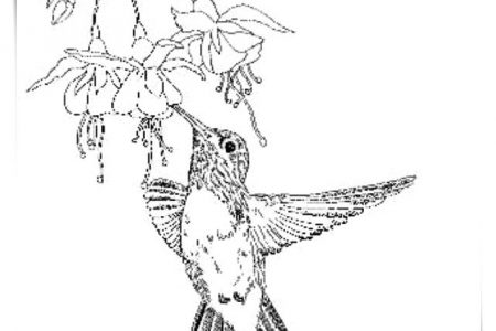 140 dibujos de flores para Colorear - Dibujo imágenes - Dibujos flores pequeñas para imprimir a4 Dibujos flores pequeñas para imprimir a4