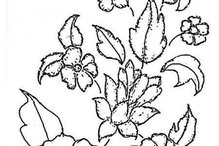 140 dibujos de flores para Colorear - Dibujo imágenes - Dibujos flores reales a4 Dibujos flores reales a4