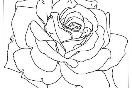 140 dibujos de flores para Colorear - Dibujo imágenes - Dibujos flores rojas a4 Dibujos flores rojas a4