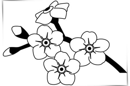 Dibujos flores simples a4