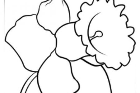 140 dibujos de flores para Colorear - Dibujo imágenes - Dibujos flores tribales a4 Dibujos flores tribales a4
