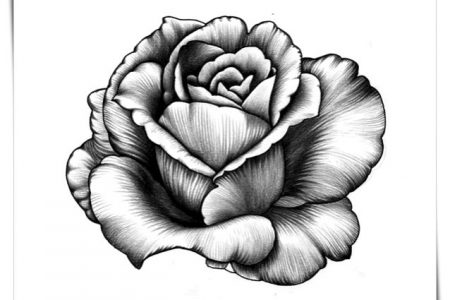 140 dibujos de flores para Colorear - Dibujo imágenes - Dibujos flores vintage a4 Dibujos flores vintage a4