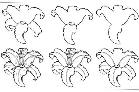 140 dibujos de flores para Colorear - Dibujo imágenes - Dibujos flores y mariposas para colorear a4 Dibujos flores y mariposas para colorear a4