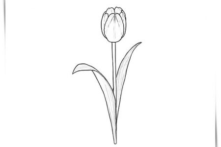 140 dibujos de flores para Colorear - Dibujo imágenes - Dibujos para colorear con flores a4 Dibujos para colorear con flores a4