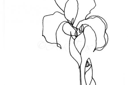 140 dibujos de flores para Colorear - Dibujo imágenes - Dibujos para colorear flores corazones a4 Dibujos para colorear flores corazones a4
