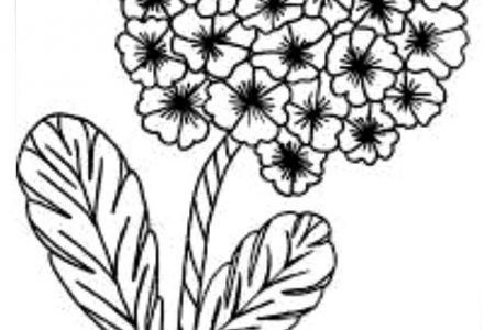 140 dibujos de flores para Colorear - Dibujo imágenes - Experimento de colorear flores a4 Experimento de colorear flores a4