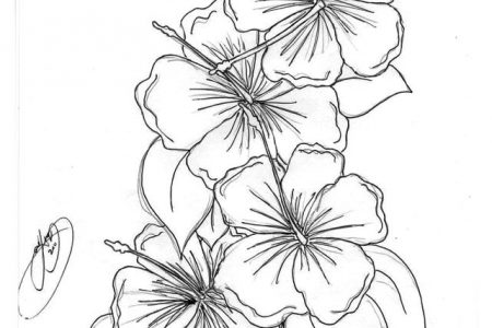 140 dibujos de flores para Colorear - Dibujo imágenes - Flores para colorear a4 Flores para colorear a4
