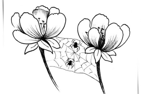 140 dibujos de flores para Colorear - Dibujo imágenes - Imagenes para colorear flores hermosas a4 Imagenes para colorear flores hermosas a4