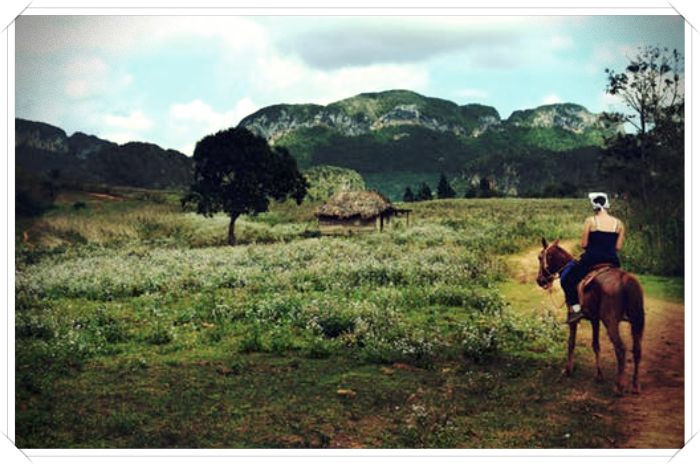 imagenes de caballos mas lindos del mundo - Dibujo imágenes - imagenes de caballos mas lindos del mundo imagenes de caballos mas lindos del mundo