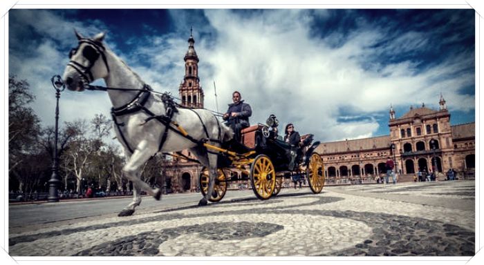 imagenes de caballos para pintar al oleo - Dibujo imágenes - imagenes de caballos para pintar al oleo imagenes de caballos para pintar al oleo