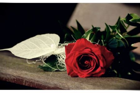 imagenes de rosas bonitas para una amiga