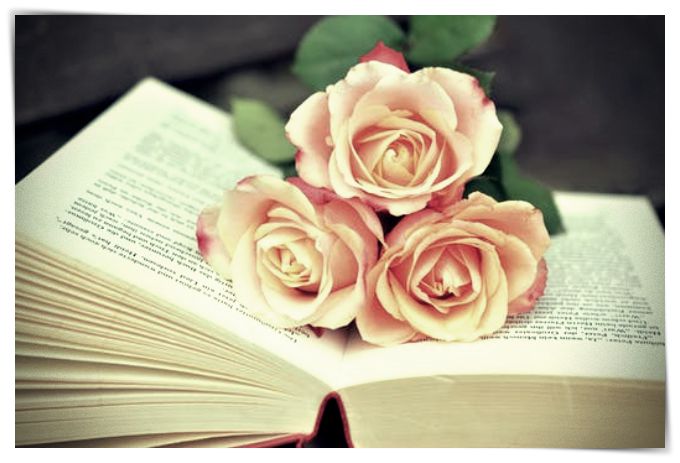 imagenes de rosas de cumpleaños - Dibujo imágenes - imagenes de rosas de cumpleaños imagenes de rosas de cumpleaños