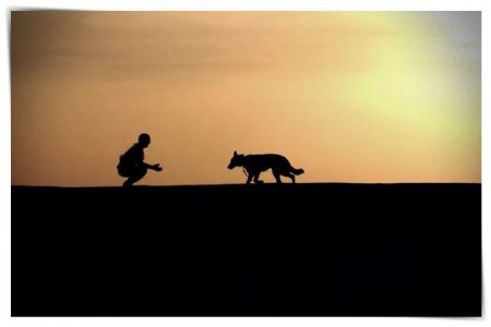 siluetas de entrenador de perros puesta de sol