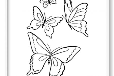 alas de mariposa para colorear
