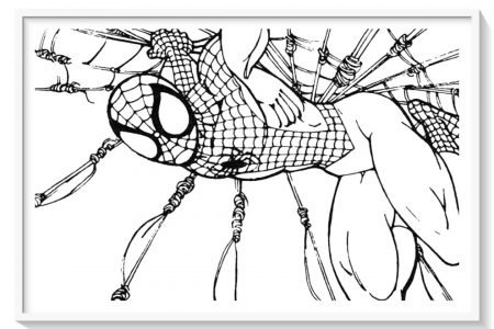 araña de spiderman para colorear