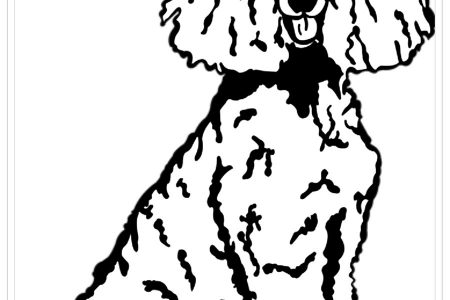dibujos a lapiz perros pitbull