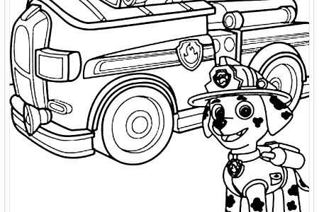 dibujos colorear patrulla canina navidad