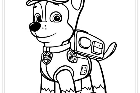 dibujos colorear patrulla canina skye