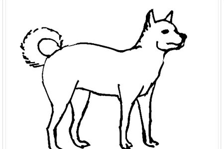 dibujos de perros para niños