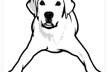 dibujos de perros pitbull